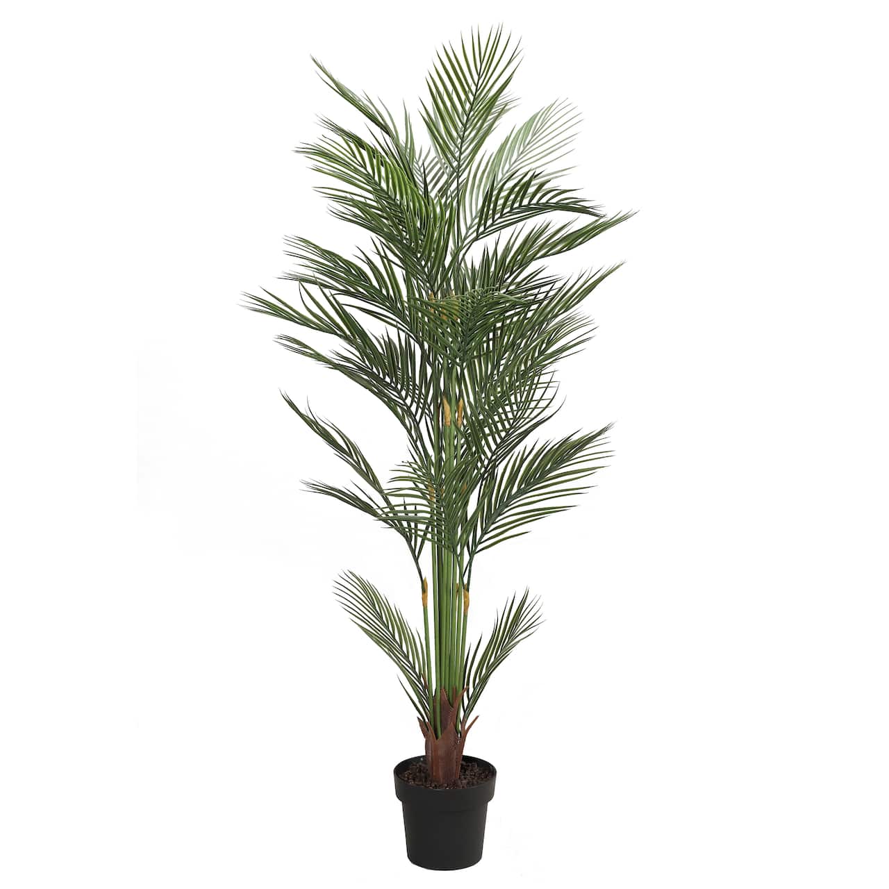 5.25ft. Potted Areca Palm Tree